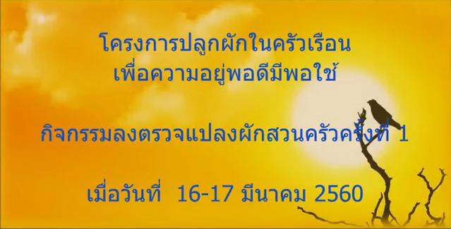 กิจกรรมลงตรวจแปลงผักสวนครัวครั้งที่ 1