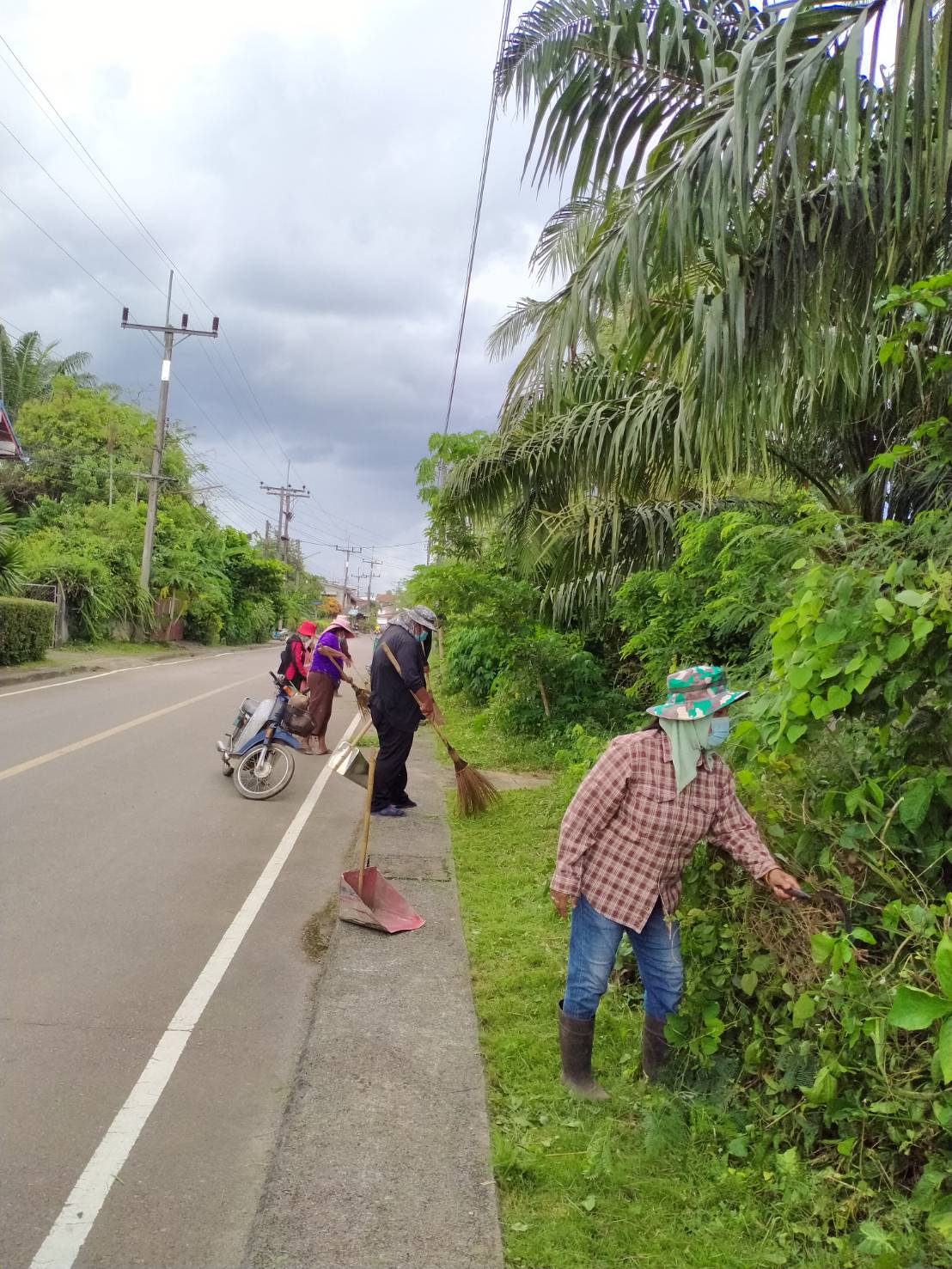 ทำความสะอาดตัดแต่งกิ่งไม้ ถนนหลังที่ว่าการอำเภอ