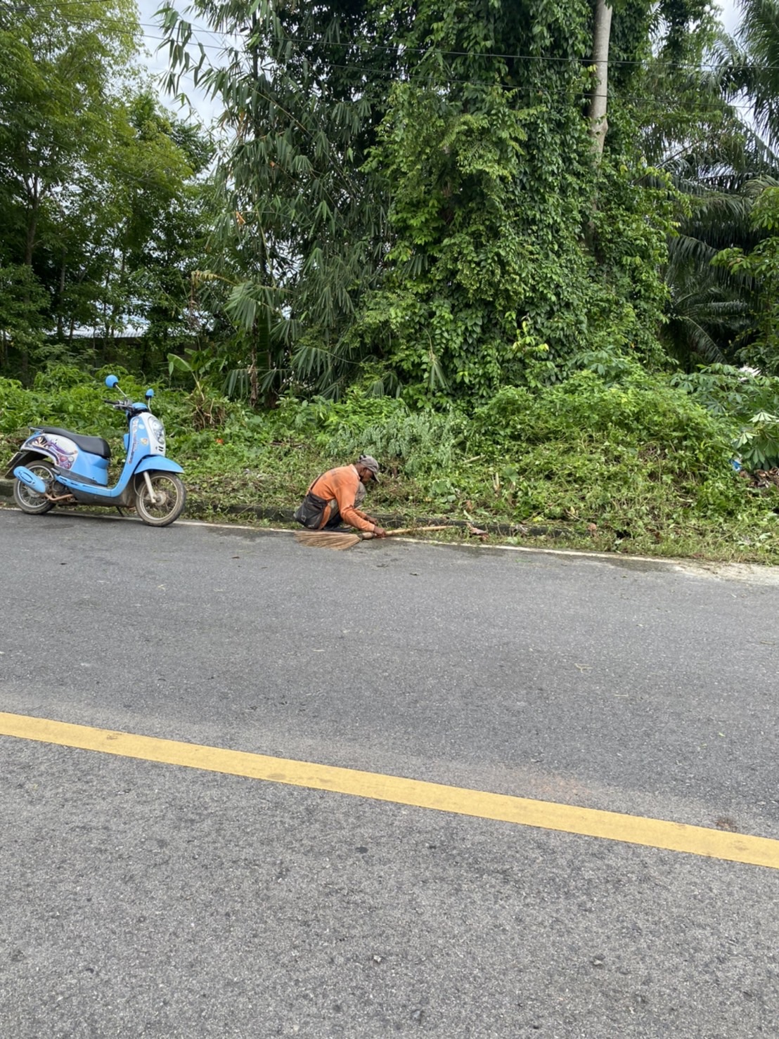 ทำความสะอาดตัดแต่งกิ่งไม้ ถนนหลังโรงพยาบาลควนขนุน