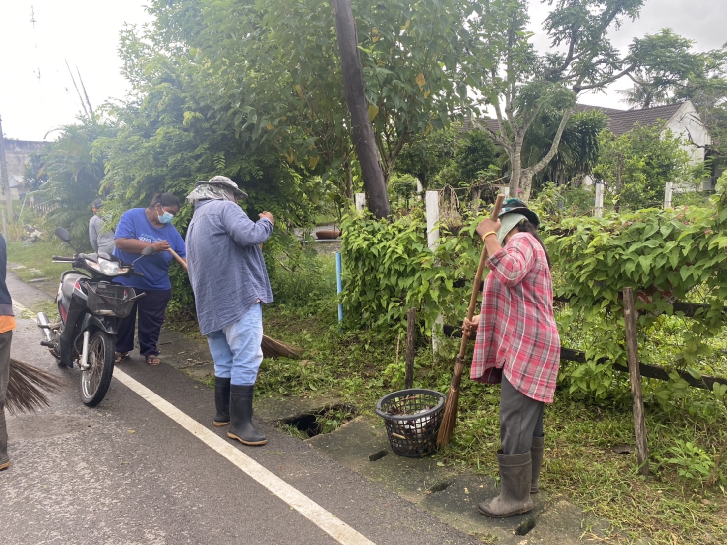 ตัดแต่งกิ่งไม้ถนนหลังโรงพยาบาลควนขนุน