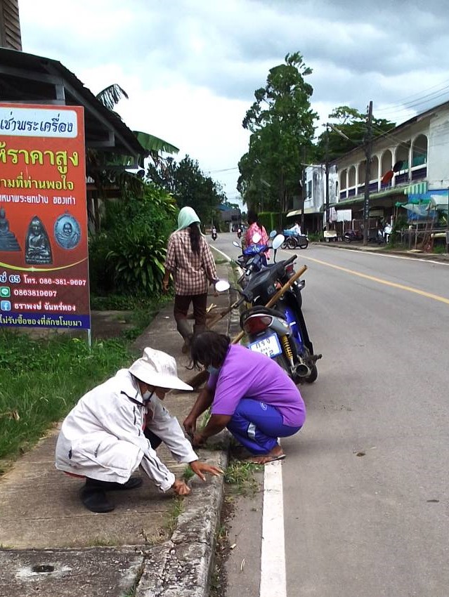 ทำความสะอาดถนนสุวรรณวิชัย